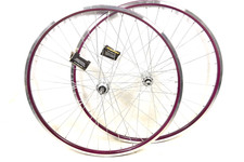 Coppia Ruote 700c Raleigh