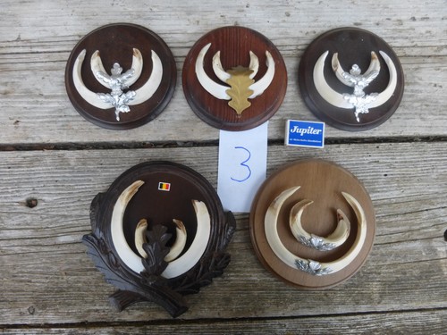Set denti cuneo - a, /