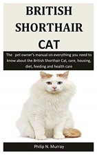 British Shorthair Cat: The