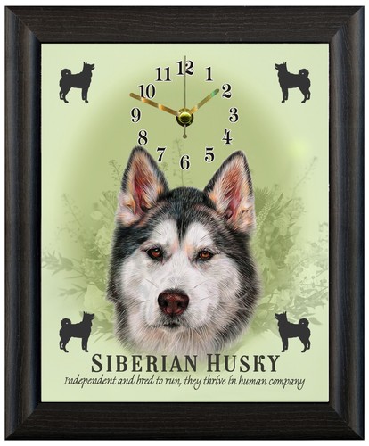 Orologio siberian husky - siberian, regalo