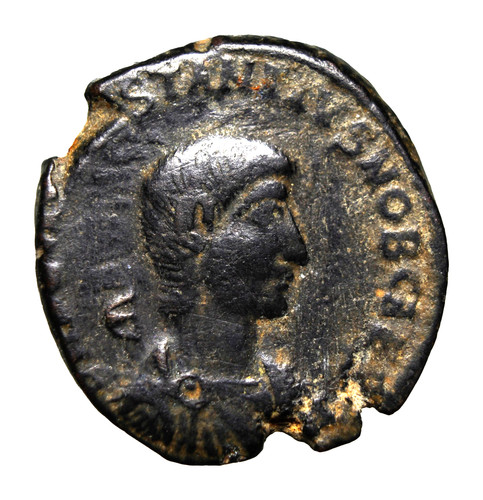 Scarce dietro busto - e,
