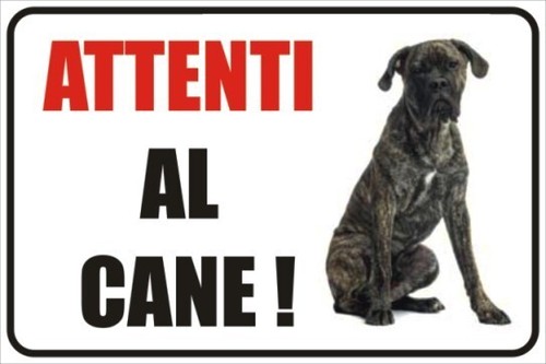 Cartello attenti cane - cartello,