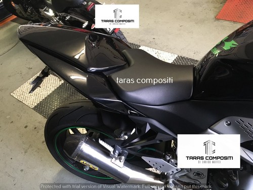 Coprisella monoposto kawasaki - coprisella,