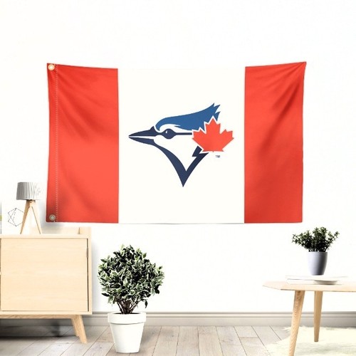 Bandiera banner toronto - banner,