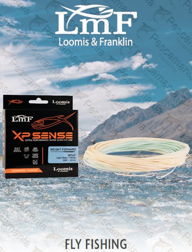 Coda topo lmf loomis - coda,