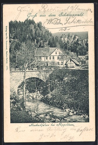 Cartolina rippoldsau foresta - cartolina,
