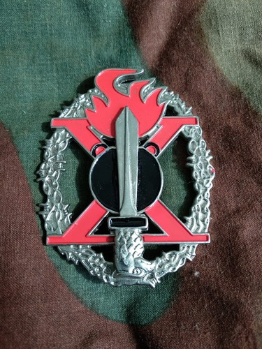 Distintivo medaglia - distintivo,