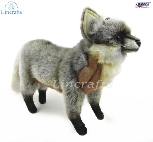 Grey fox standing - grey, soft