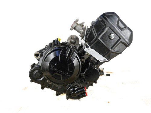 Motore kawasaki z 125 - (kawasaki, 2022
