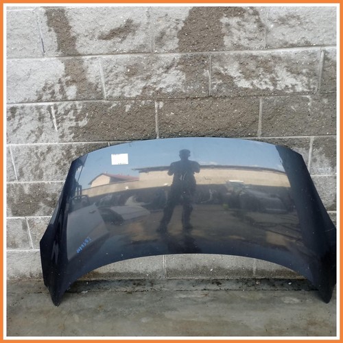 Cofano motore renault scenic - cofano,