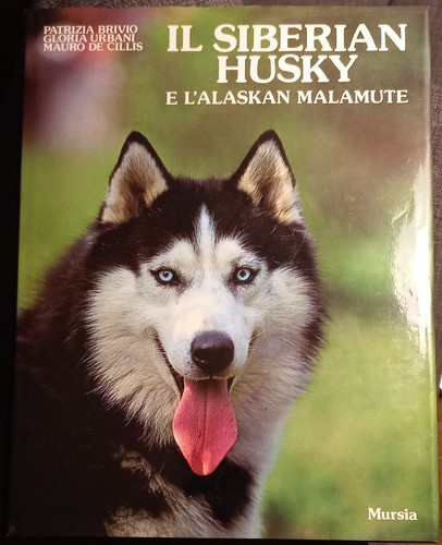 Siberian husky alaskan - siberian, e