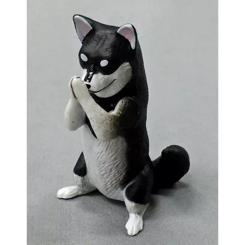 Shiba inu gassho sanpai - gassho,