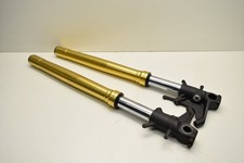 Ammortizzatore forcella