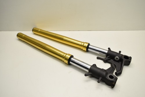 Ammortizzatore forcella