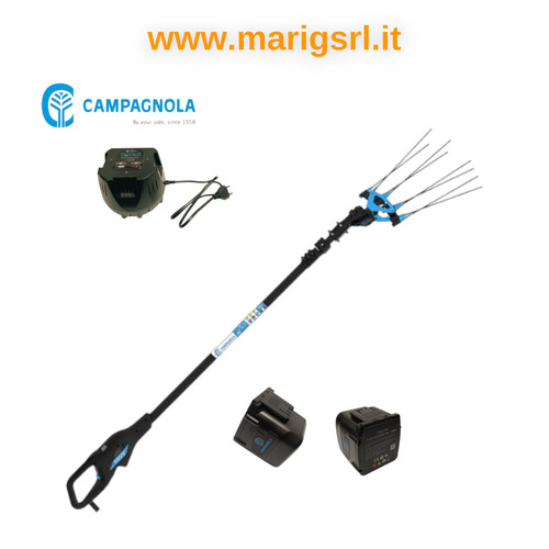 Abbacchiatore olive campagnola - olive,