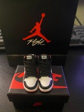 3D Jordan Dunk Air SB Mini