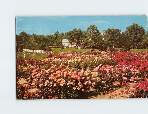 Cartolina bellissima tyler - cartolina,