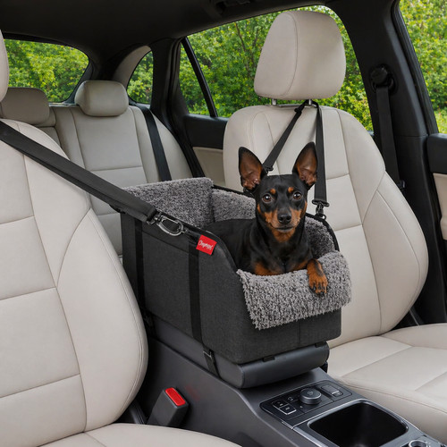 Seggiolino auto per - auto, cani