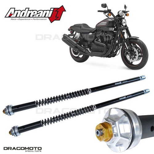 Harley davidson 1200 - xr, x