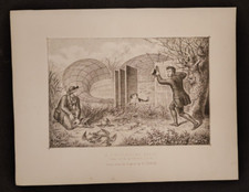 RICHIAMO DELLE ANATRE DEL LINCOLNSHIRE CACCIA