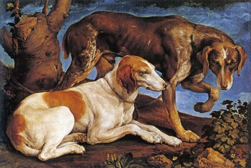 Two hounds hunting dogs - two,