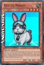 RESCUE RABBIT • (Coniglio Da