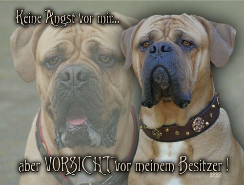 Cane corso cartello per cani - cartello,