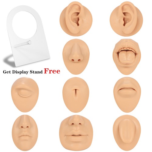 Modello orecchio silicone - orecchio, con
