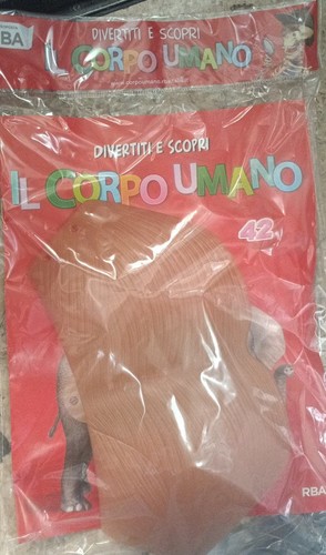 Corpo umano rba fascicolo - corpo,