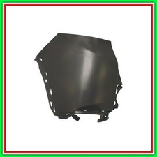 Cantonale Sinistro Paraurti