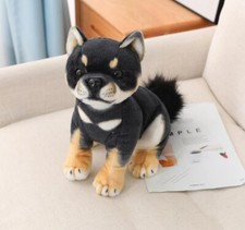 Shiba Inu cucciolo cane 13