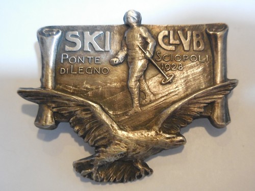 Distintivo spilla sci - distintivo,