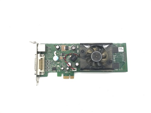 Scheda grafica nvidia - scheda,