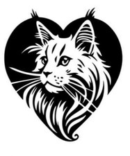 Adesivi auto, sticker, MAINE