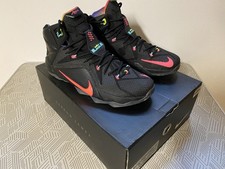 Nike Lebron James XII 46