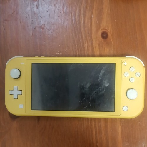 Nintendo switch lite - nintendo,