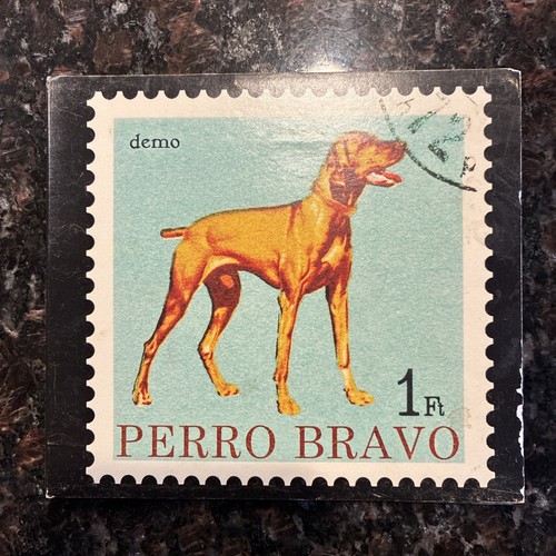 Perro bravo demo rare - demo, mike