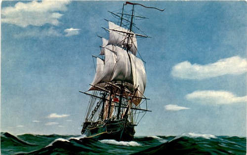 Cartolina bounty florida - cartolina, bounty,
