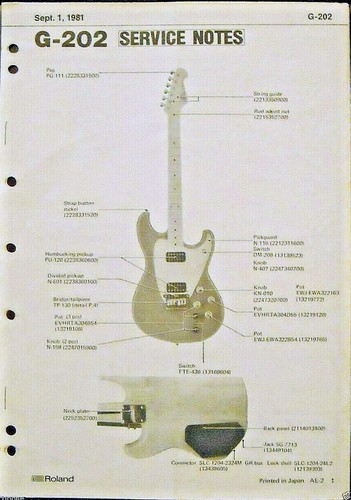 Roland 202 chitarra - roland, g-202