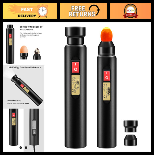 Tester candela uovo - candela,