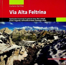 Via alta Feltrina