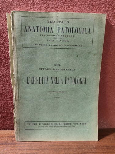 Trattato anatomia - trattato,