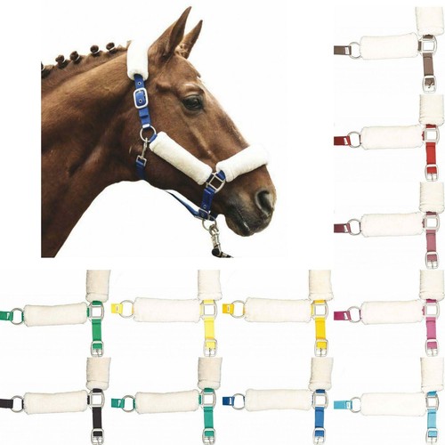 Supporto collare cavallo - supporto,