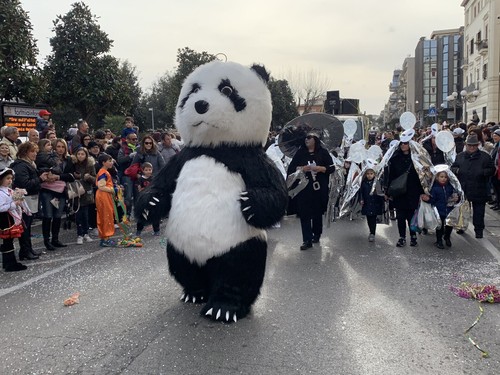 Panda gigante mascotte - ,