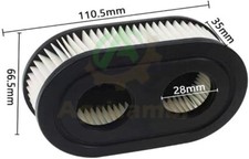 Filtro aria Briggs & Stratton