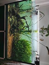 Acquario Completo Usato funzionante 