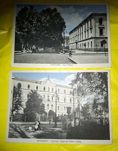 Avellino viale platani - avellino,