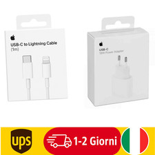 Caricatore iPhone APPLE ORIGINALE con cavo 20W (Bianco)
