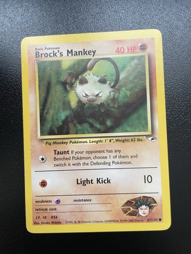 Pokemon brock mankey gym - brock's,