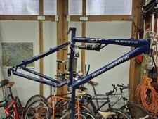 Vintage Rocky Mountain Slayer